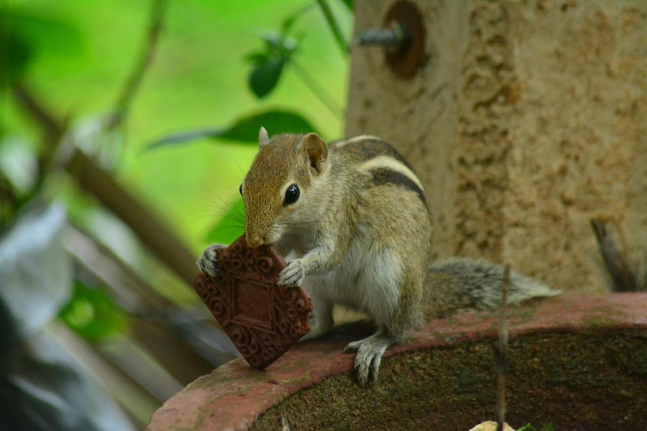 Treasure House Tourist Rest Hotel Anuradhapura Bagian luar foto